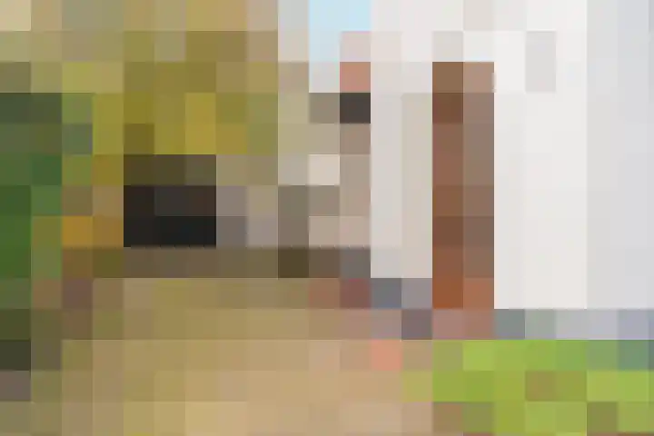 Tromplaan 19 Velp thumbnail 67