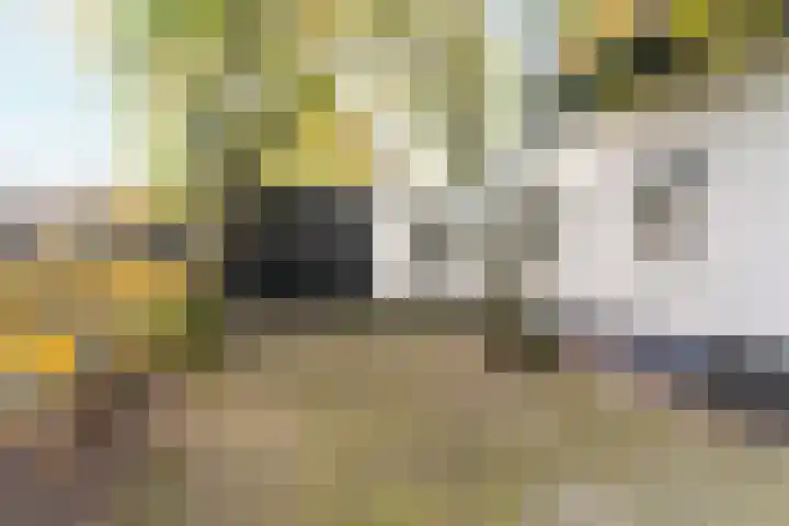 Tromplaan 19 Velp thumbnail 68