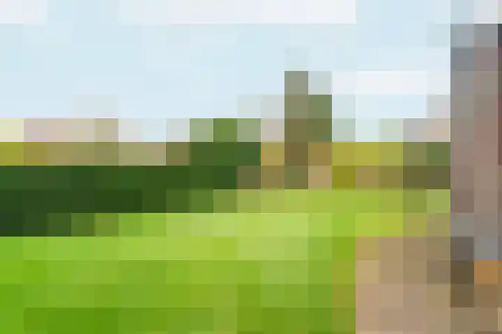 Tromplaan 19 Velp thumbnail 76