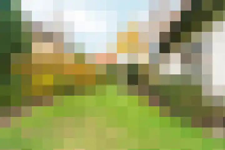 Tromplaan 19 Velp thumbnail 80
