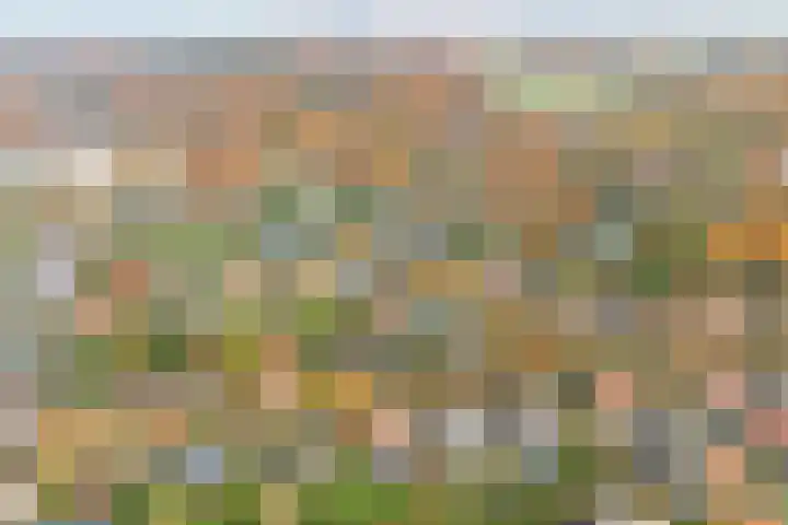 Tromplaan 19 Velp thumbnail 81