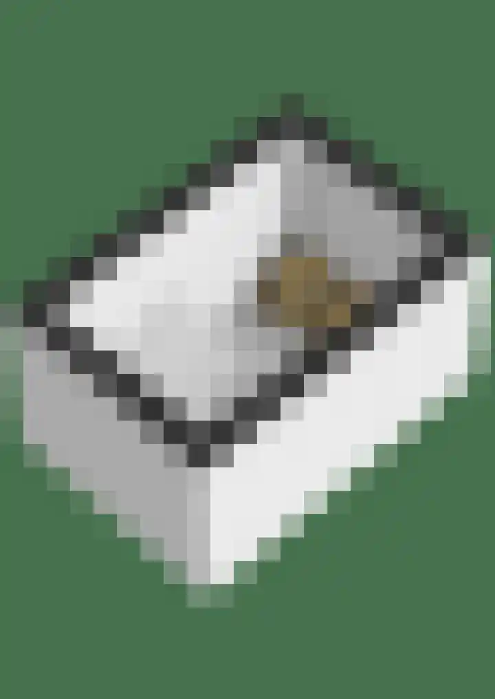 Tromplaan 19 Velp thumbnail 94