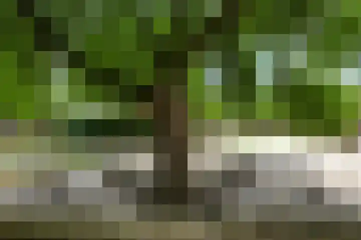 Tromplaan 35 Weert thumbnail 33