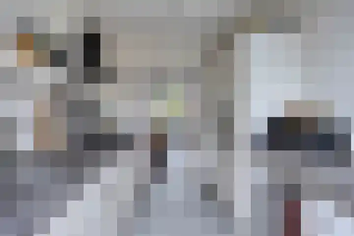 Tromplaan 7 Weert thumbnail 13