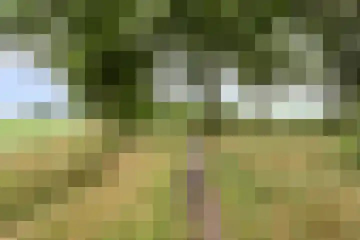 Tromplaan 7 Weert thumbnail 36