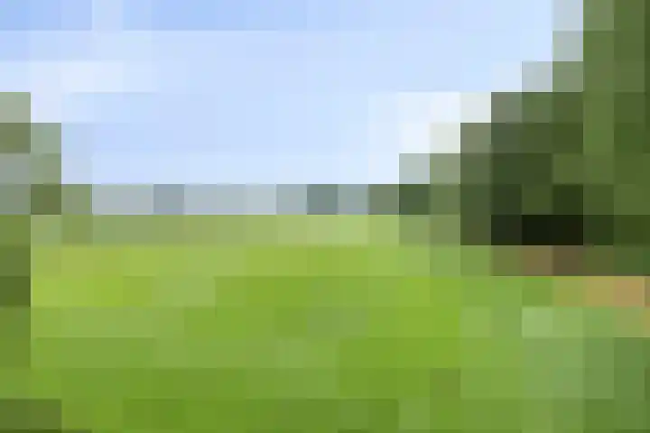 Tromplaan 7 Weert thumbnail 37
