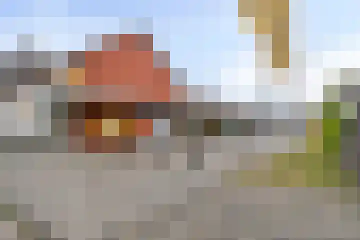 Tromplaan 7 Weert thumbnail 38