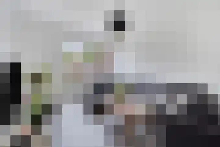Tromplaan 7 Weert thumbnail 8