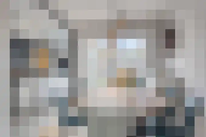 Trompstraat 11 Borne thumbnail 21