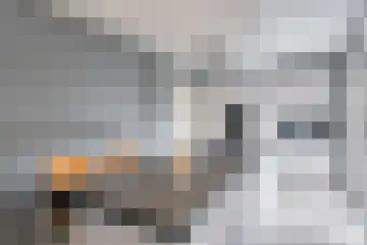Trompstraat 11 Borne thumbnail 24