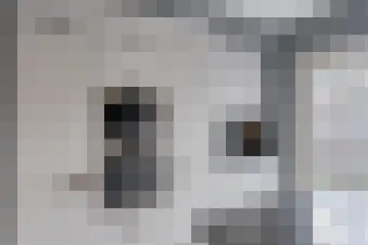 Trompstraat 11 Borne thumbnail 26