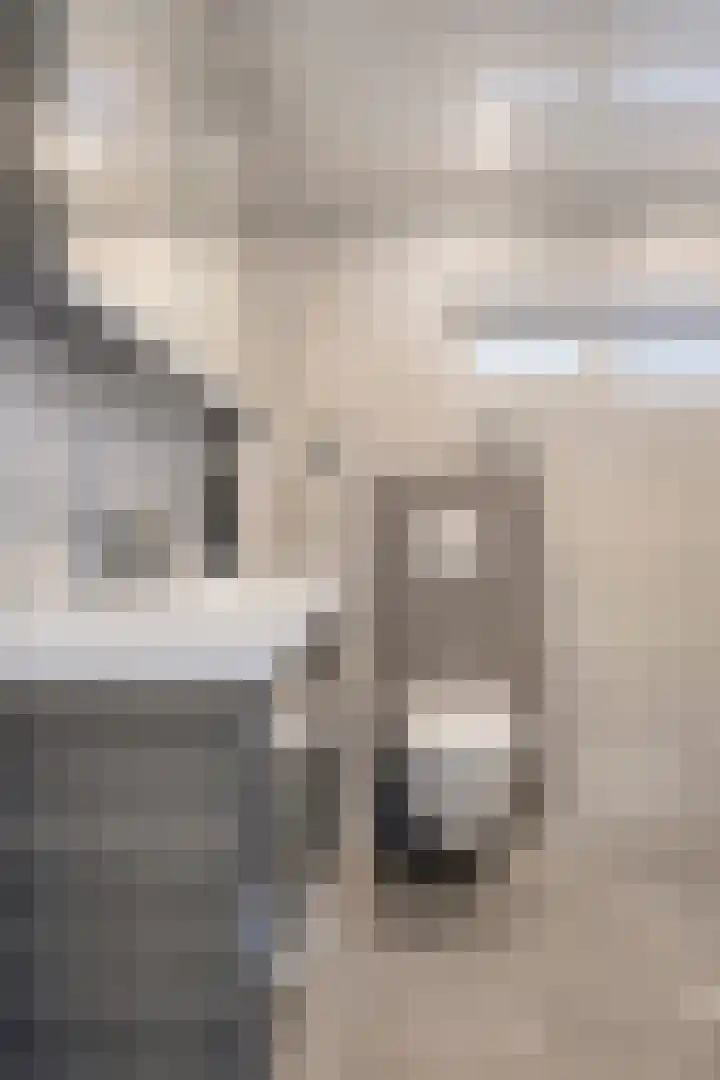 Trompstraat 11 Borne thumbnail 36