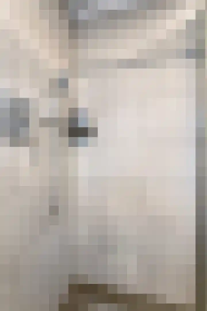 Trompstraat 11 Borne thumbnail 37