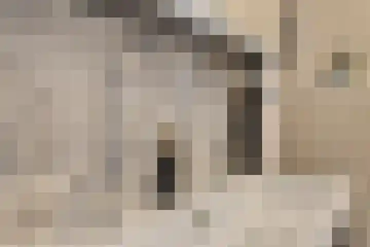 Trompstraat 11 Borne thumbnail 39