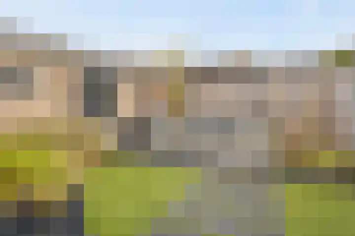 Trompstraat 11 Borne thumbnail 5