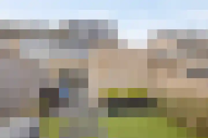 Trompstraat 11 Borne thumbnail 50