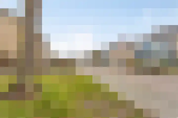 Trompstraat 11 Borne thumbnail 52