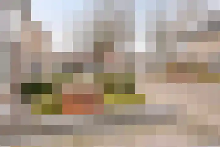 Trompstraat 11 Borne thumbnail 9