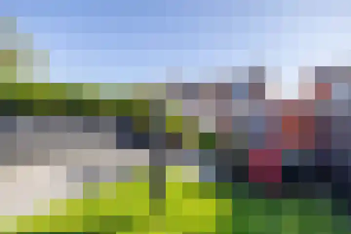 Trompstraat 14 Bedum thumbnail 33