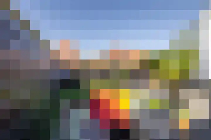 Trompstraat 14 Bedum thumbnail 35