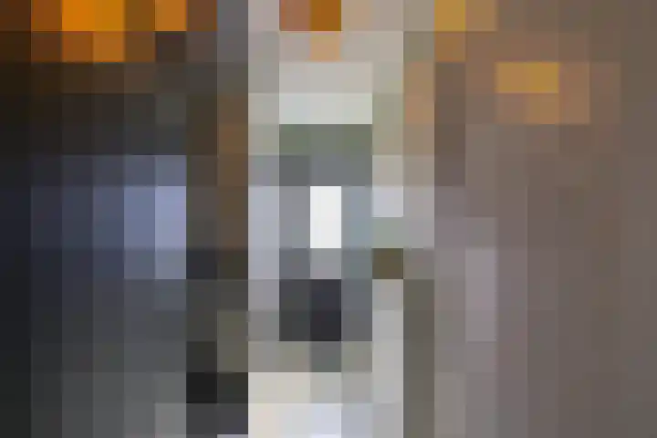 Trompstraat 14 Bedum thumbnail 5