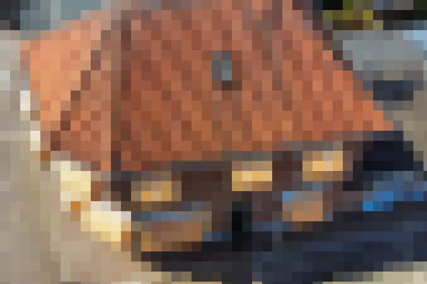 Trompstraat 2 Almelo thumbnail 49