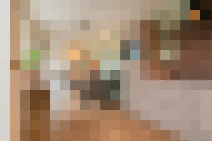 Trompstraat 20 Bedum thumbnail 22