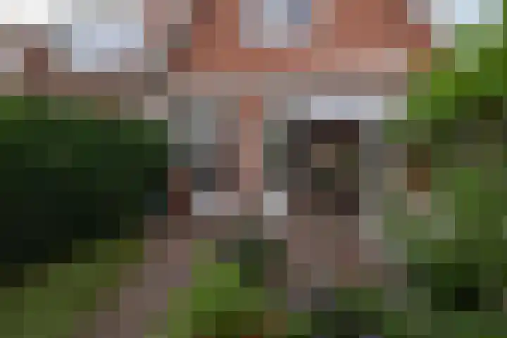 Trompstraat 24 Haarlem thumbnail 14