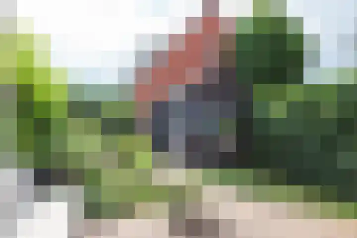 Trompstraat 24 Haarlem thumbnail 17