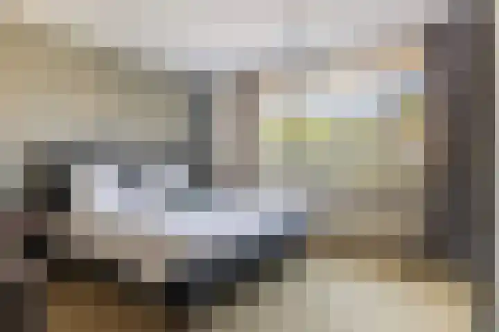 Trompstraat 32 Ede thumbnail 18