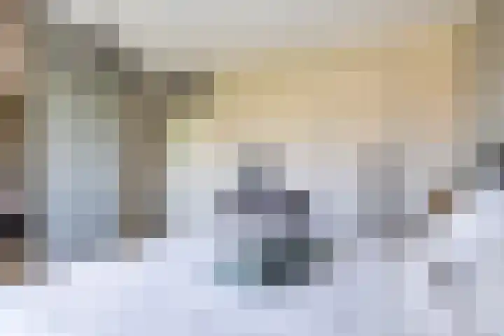 Trompstraat 32 Ede thumbnail 19