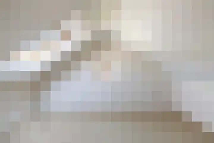 Trompstraat 32 Ede thumbnail 31