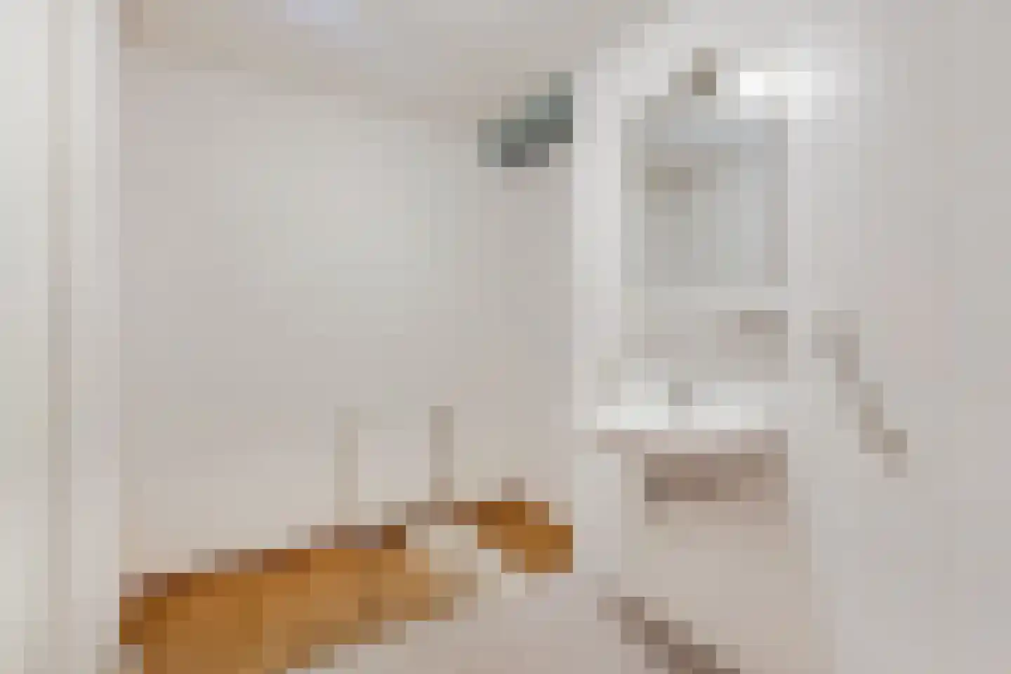 Trompstraat 77 Oss thumbnail 11