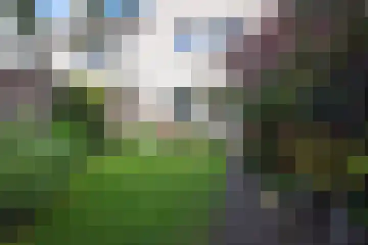 Tros 15 Oudewater thumbnail 34