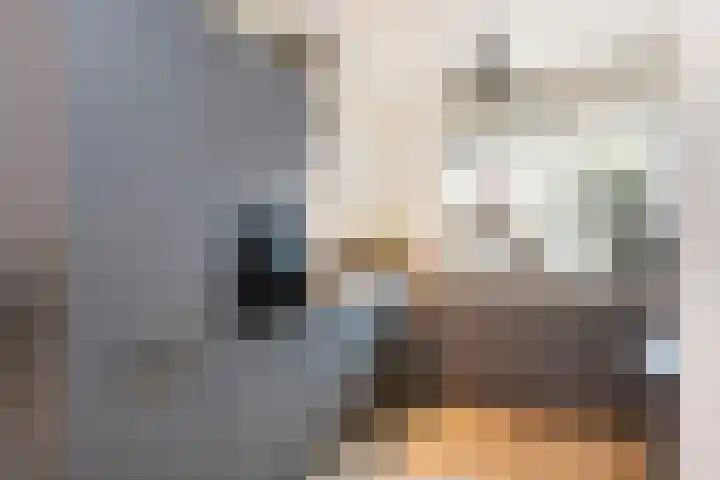 Tros 7 Oudewater thumbnail 11
