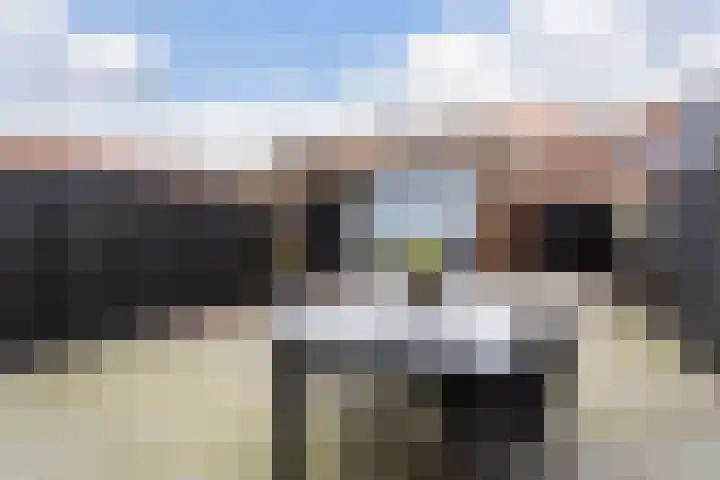 Tros 7 Oudewater thumbnail 19