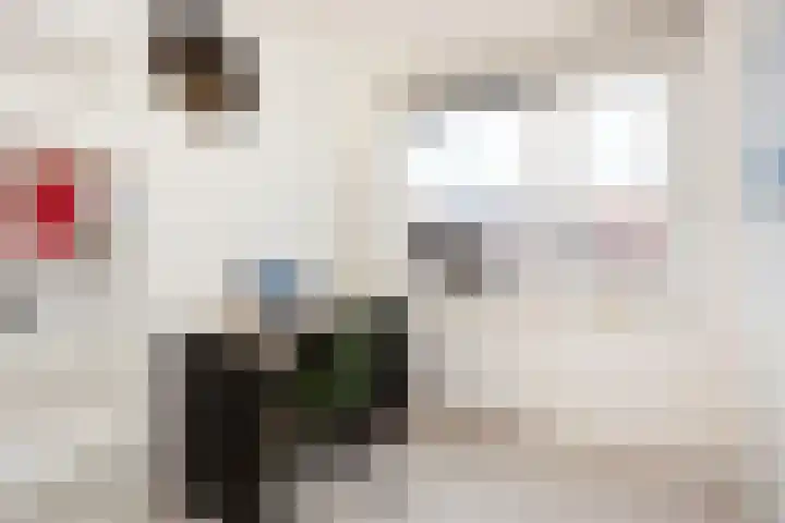 Tros 7 Oudewater thumbnail 26
