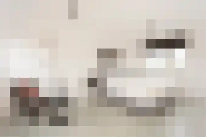 Tros 7 Oudewater thumbnail 38