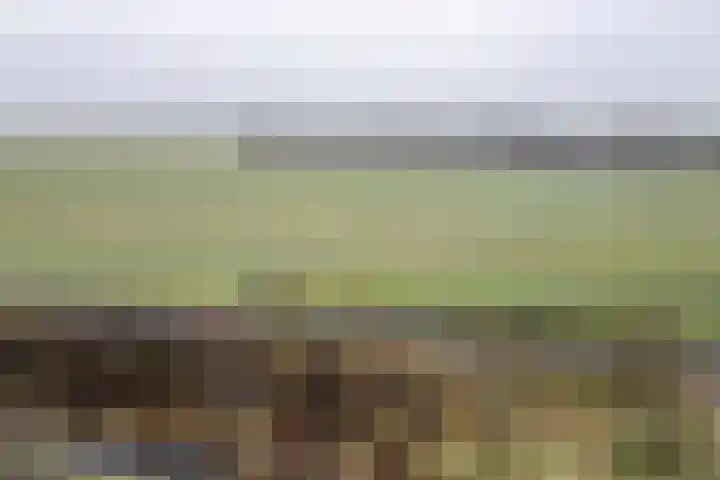 Tros 7 Oudewater thumbnail 43