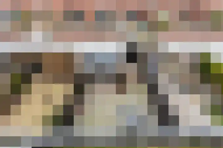 Tros 7 Oudewater thumbnail 44