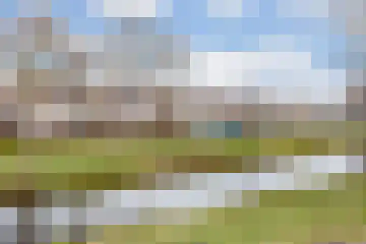 Tros 7 Oudewater thumbnail 48
