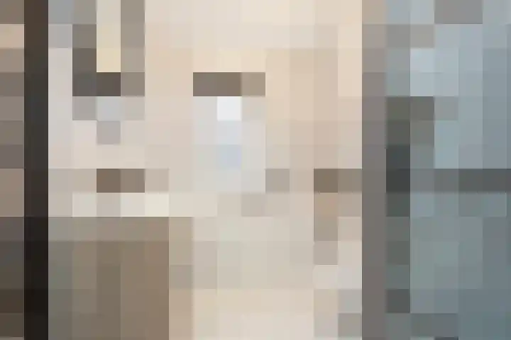 Tros 7 Oudewater thumbnail 6