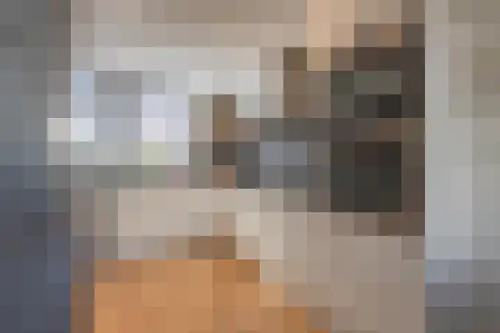 Trumandreef 89 Ede thumbnail 19