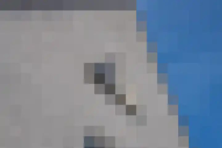 Trumandreef 89 Ede thumbnail 52