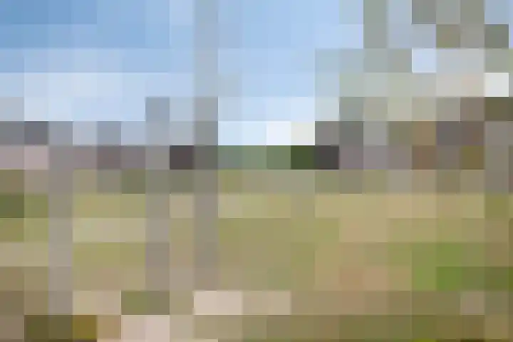 Logo Trust Real Estate