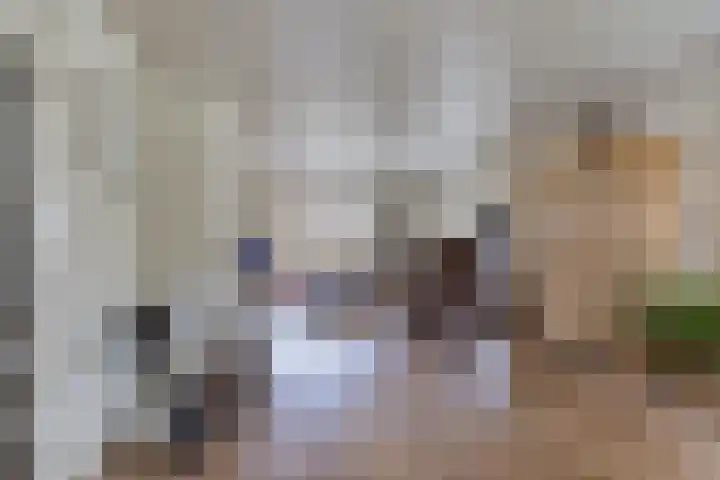 Tsjalk 6 Joure thumbnail 11