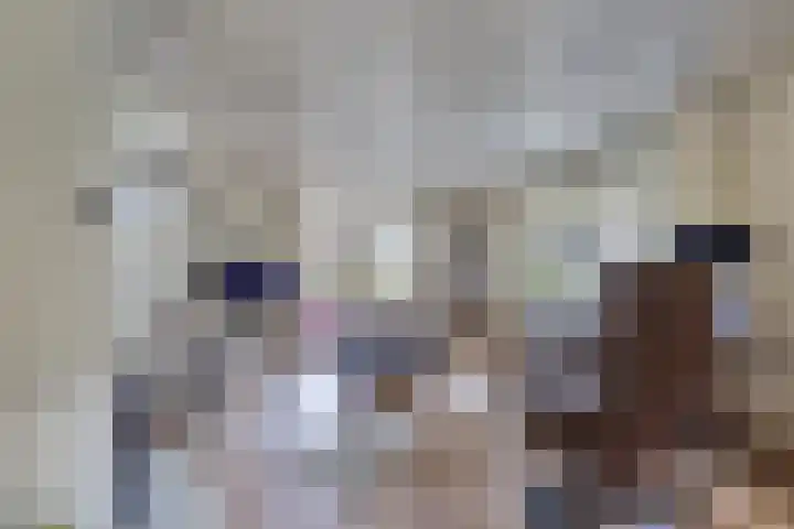 Tsjalk 6 Joure thumbnail 12