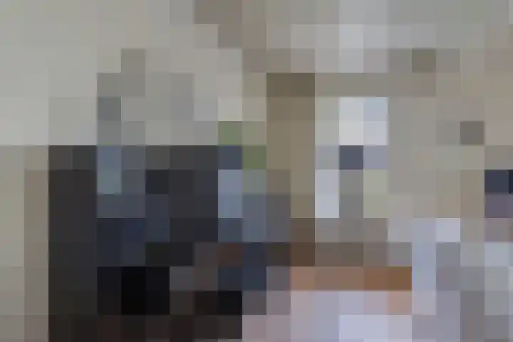 Tsjalk 6 Joure thumbnail 15