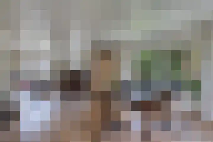 Tsjalk 6 Joure thumbnail 19