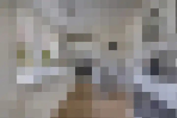 Tsjalk 6 Joure thumbnail 22